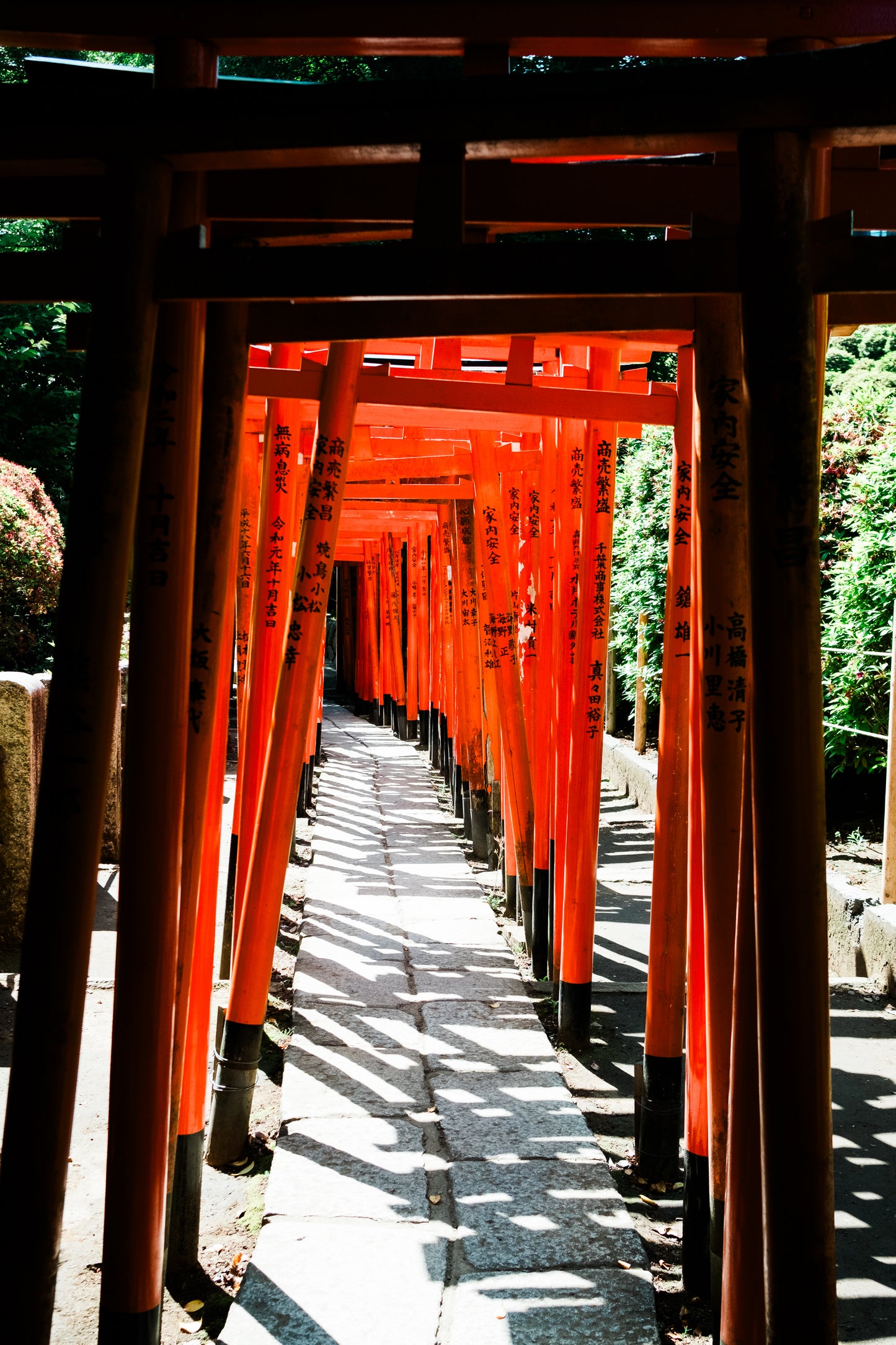 Torii