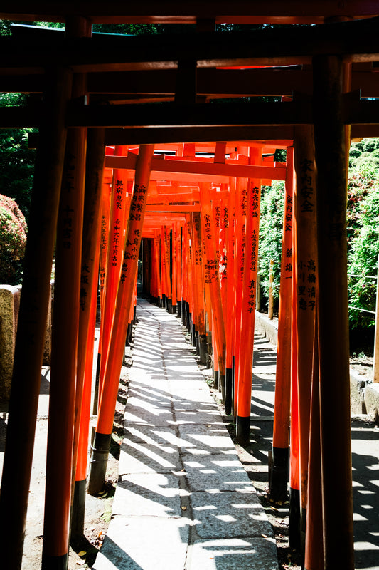 Torii