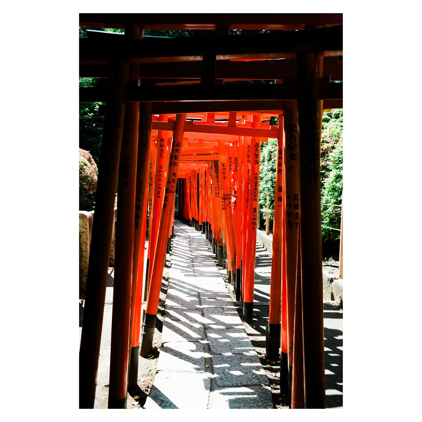 Torii