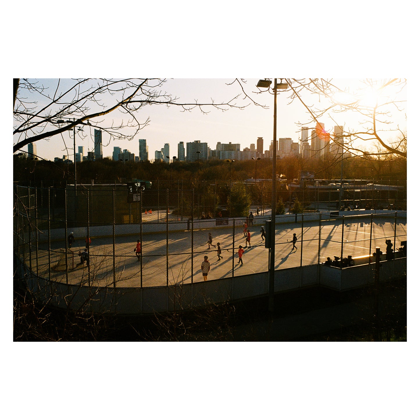 Hockey Rink
