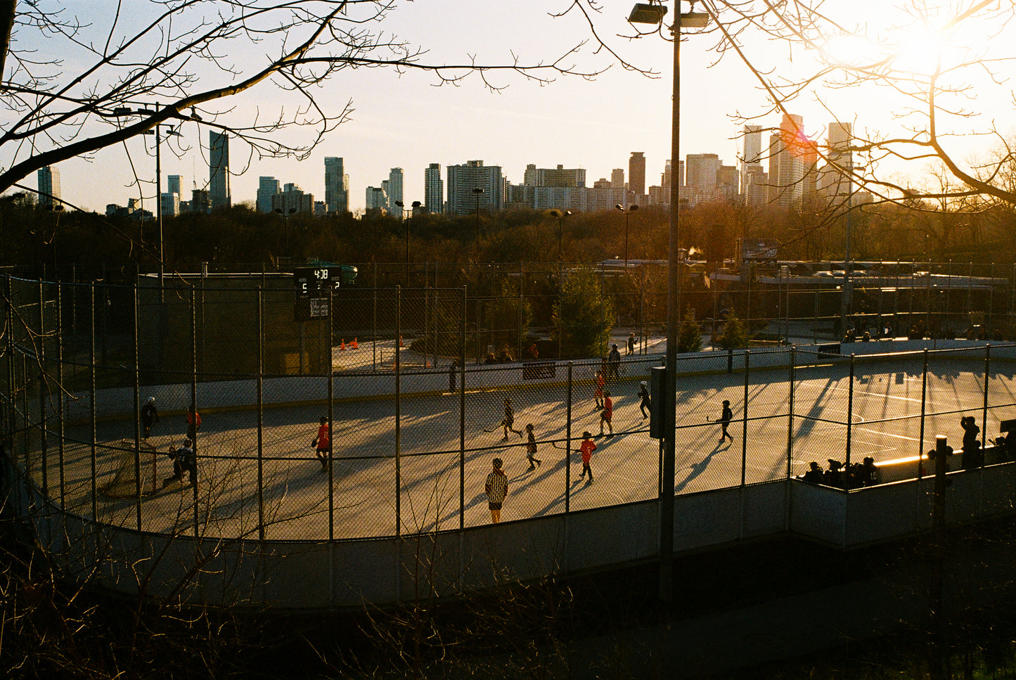 Hockey Rink